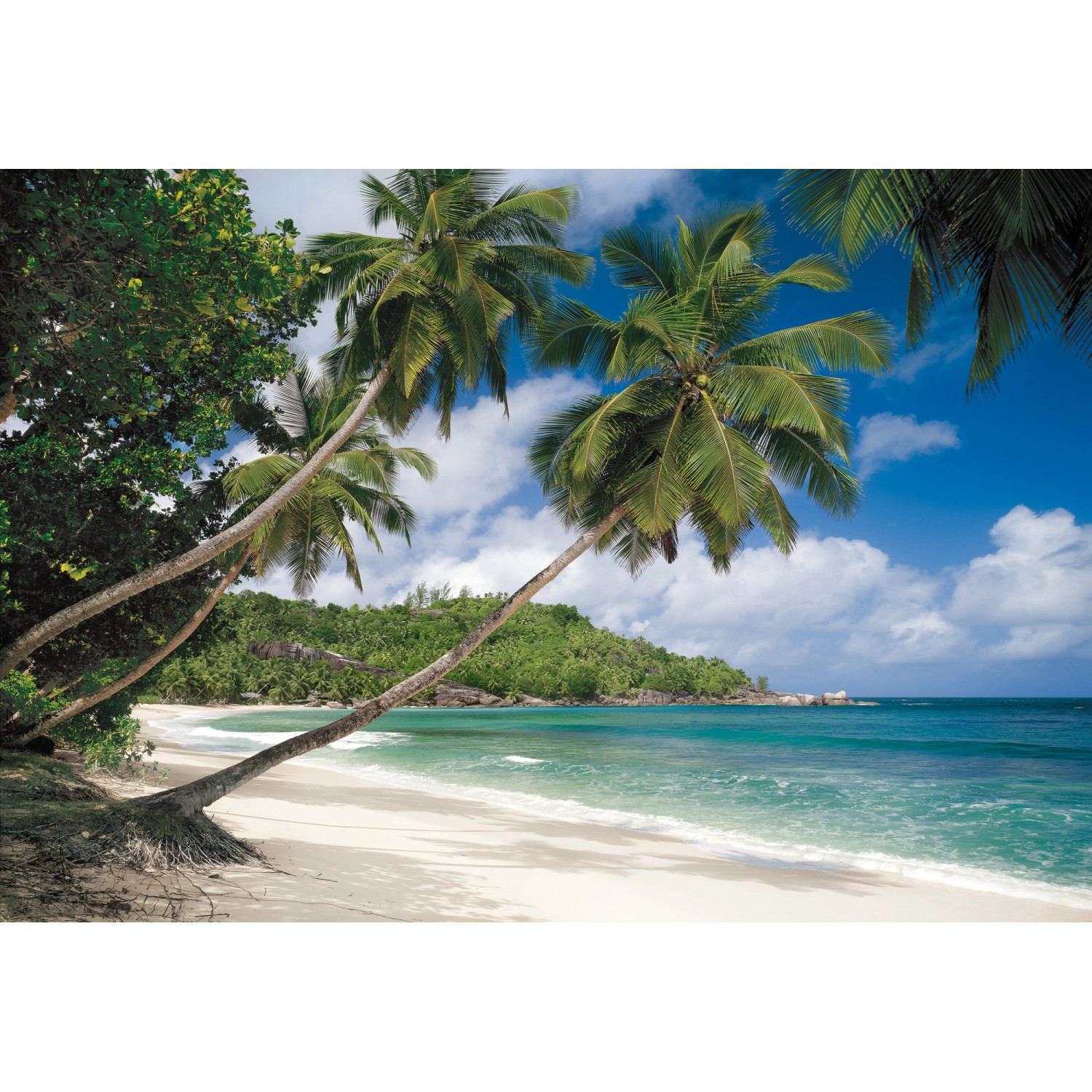 Sanders & Sanders Fototapete Strand Grün und Blau 368 x 254 cm 612202 günstig online kaufen