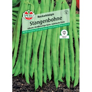 Sperli Saatgut Stangenbohne Neckarkönigin