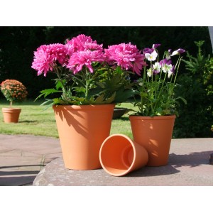 Terrakotta Rosentöpfe, Ø 14 cm, mit pinken und violetten Blumen auf Gartentisch.