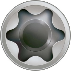 Detailaufnahme: Zylinderkopf der Spax Terrassenschraube mit T-Star plus Antrieb.