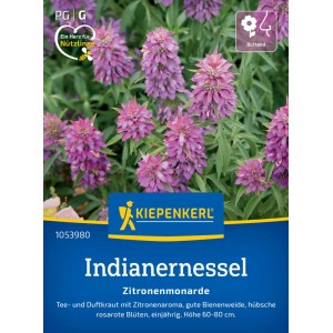 Kiepenkerl Saatgut Indianernessel Zitronenmonarde mit rosa-violetten Blüten.