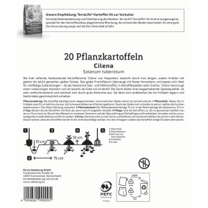 Kiepenkerl Pflanzkartoffel Cilena, 20 St