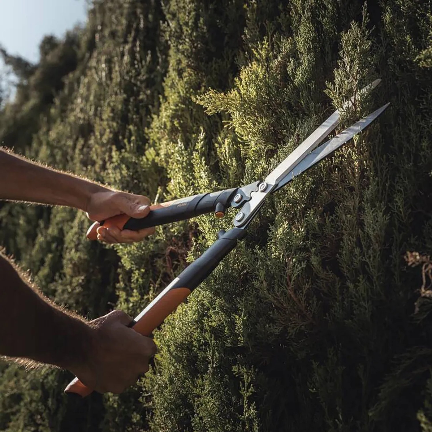 Fiskars Getriebe-Heckenschere PowerGear X HSX92 im Einsatz beim Heckenschnitt.