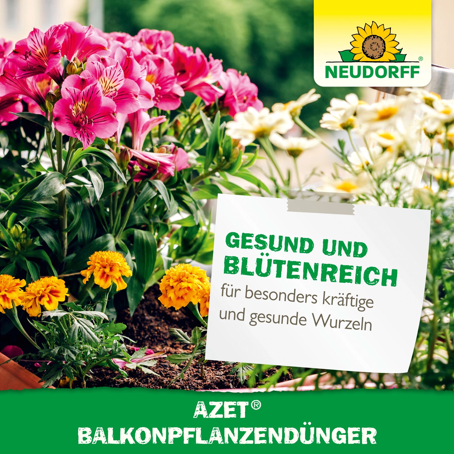 Blühende Balkonpflanzen mit Neudorff Azet Balkonpflanzen-Dünger für gesundes Wachstum.