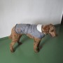 Grauer Heim Hundemantel Banbury Gr. S mit Kragen am braunen Pudel.
