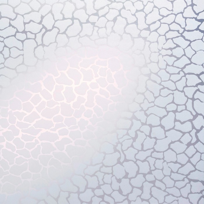 Sichtschutzfolie kaufen bei OBI