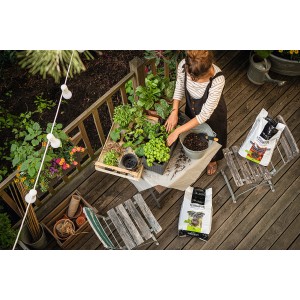 Frau pflanzt mit Lechuza Terrapon Pflanzsubstrat Kübelpflanzen auf einer Holzterrasse.