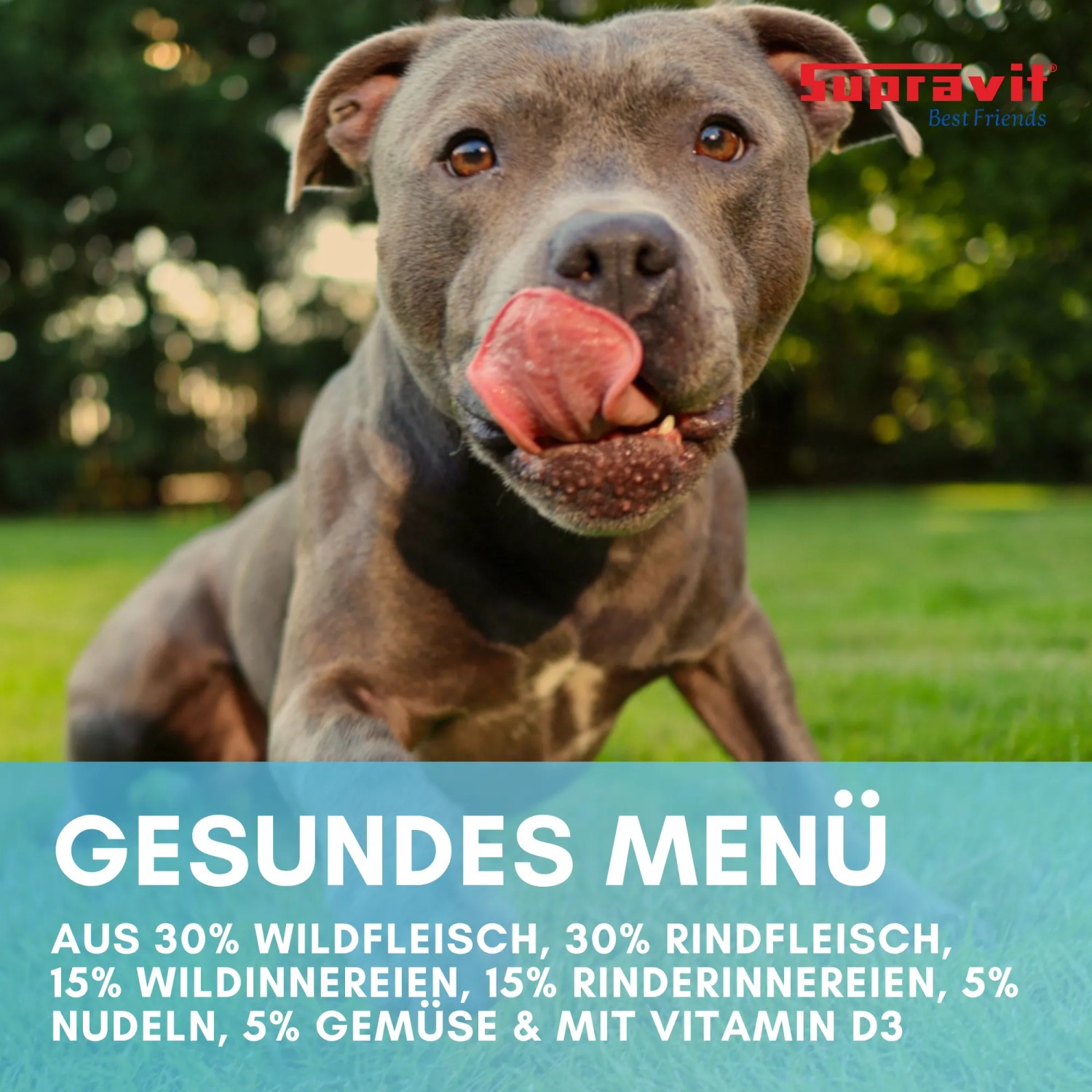 Supravit Hundenassfutter mit Wildfleisch Gemüse und Nudeln_4