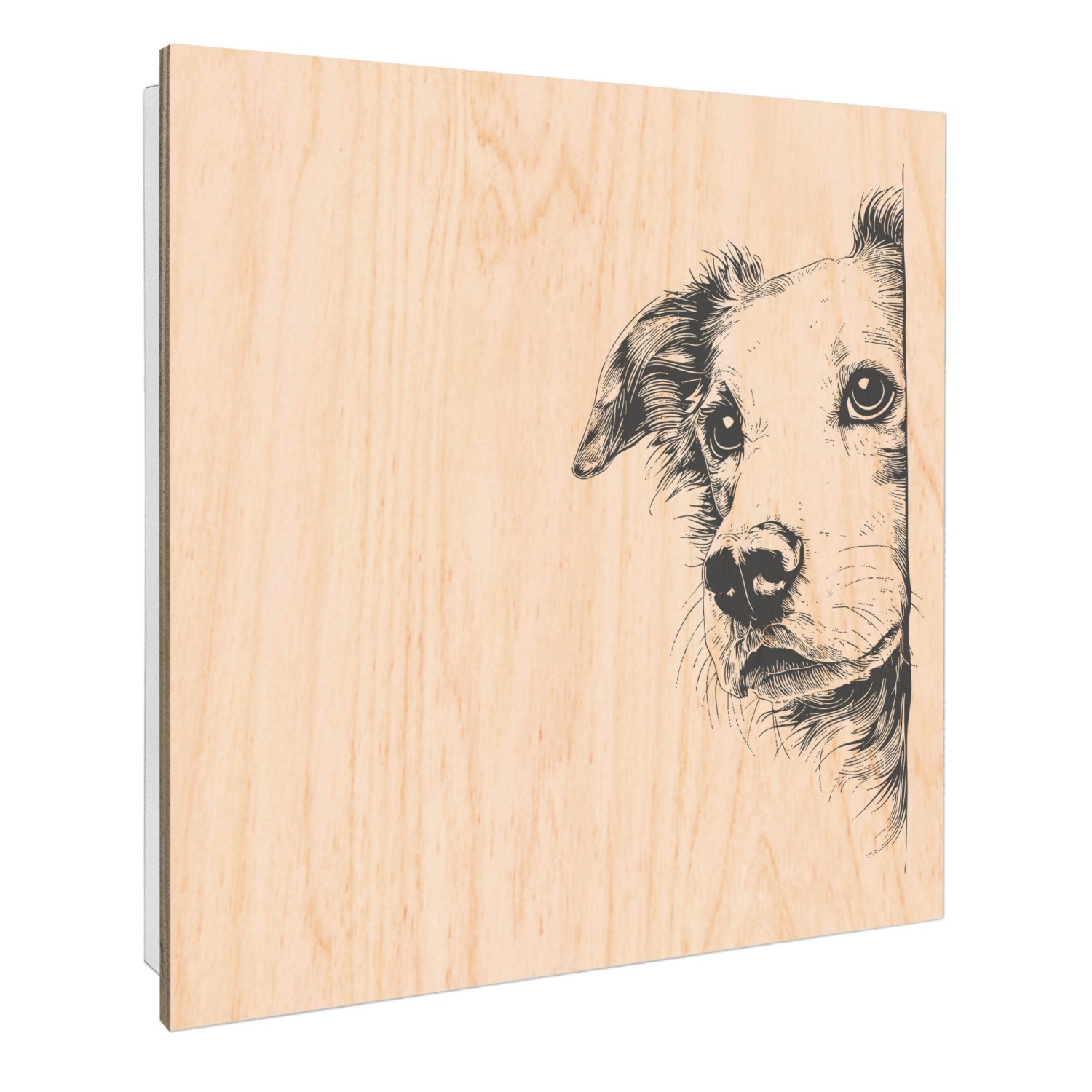 Banjado Großer Schlüsselbox Holz 30x30cm Weiß Scharnier Rechts 50 Haken Sch günstig online kaufen