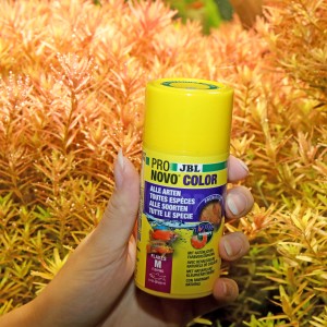 Gelbe Dose JBL Pronovo Color Flakes M Fischfutter für Aquarienfische.