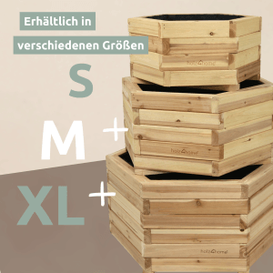 holz4home Pflanzenkübel 6eckig aus Tannenholz in verschiedenen Größen (S, M, XL).