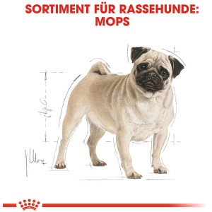 Illustration eines stehenden Mopses. Royal Canin Pug Adult Trockenfutter für Mops.
