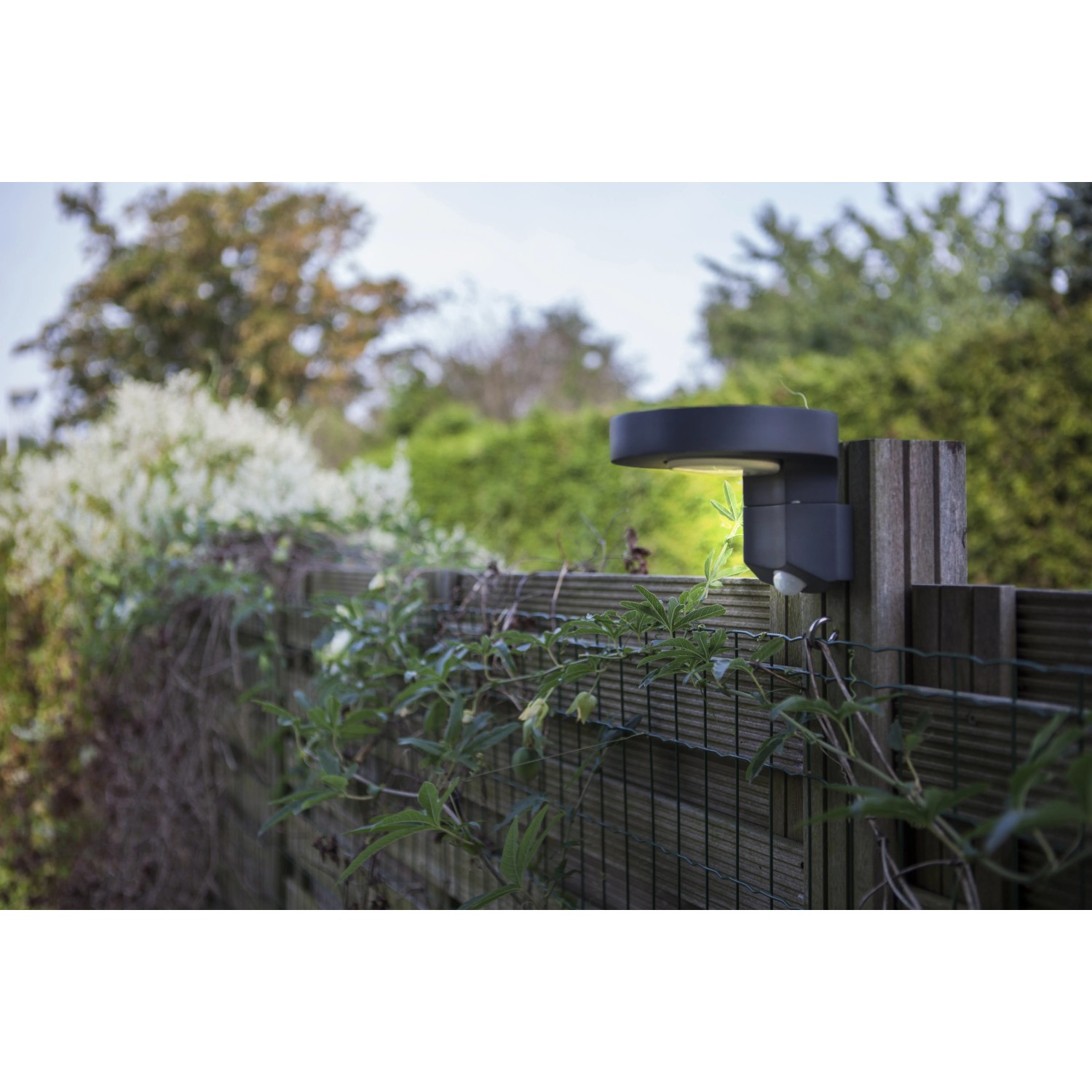 Anthrazitfarbene Lutec Solar-Wandleuchte Diso mit Bewegungsmelder an Holzzaun im Garten.