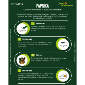 Infografik für Paprika California Wonder Samen: Anleitung zu Aussaat, Keimung, Ernte und idealem Standort für Fruchtgemüse.