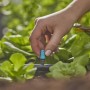 Gardena Kleinflächendüse im Einsatz zur Bewässerung von Salat im Beet. Micro-Drip-System.