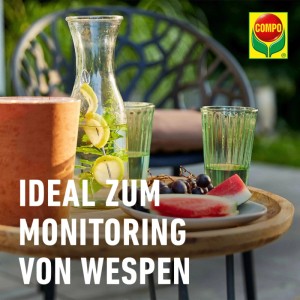 Compo Wespen-Falle N