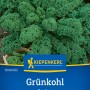 Kiepenkerl Grünkohl Kapitan F1-Hybride: Dunkelgrüne, fein gekrauste Blätter auf der Samenpackung.