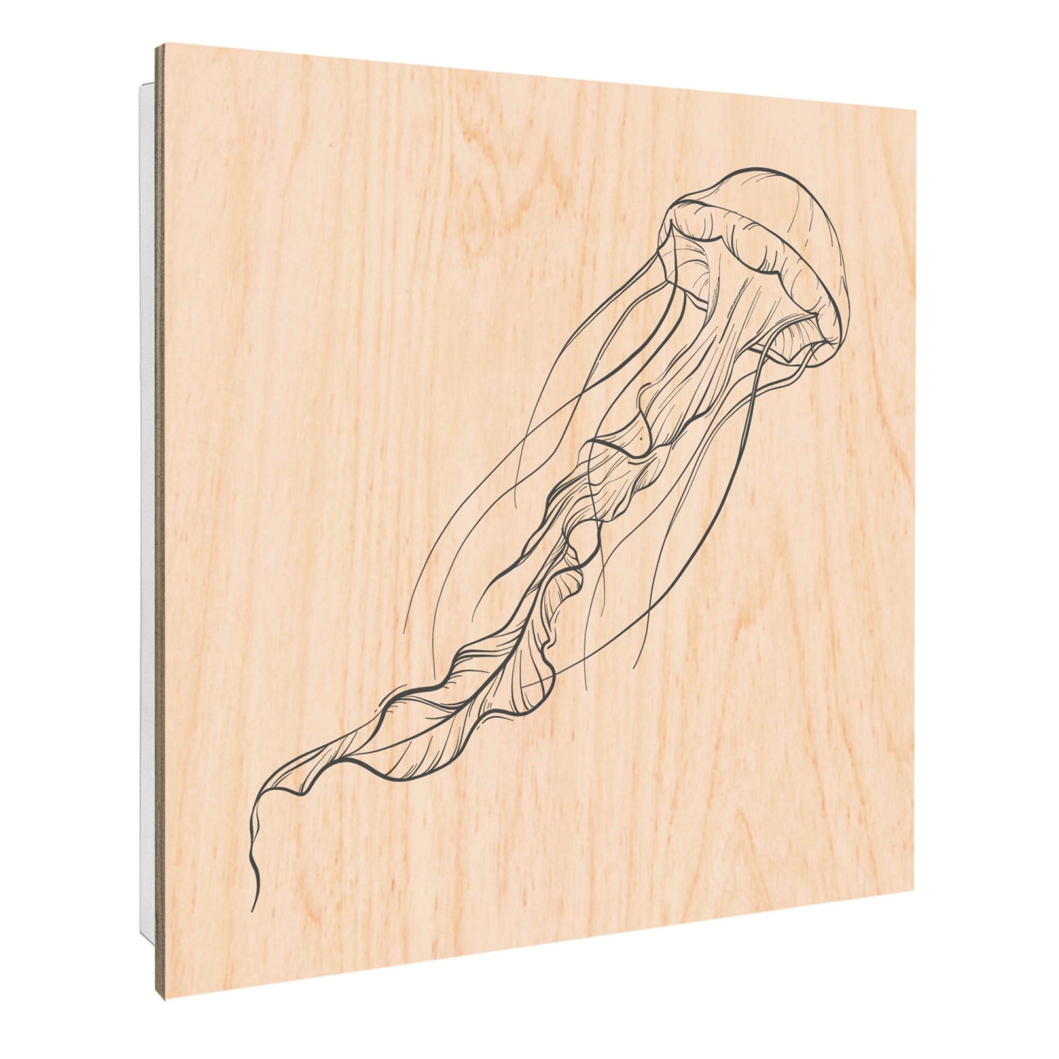 Banjado Schlüsselkasten mit Holzfront 30x30cm Weiß Scharnier Links 50 Haken günstig online kaufen