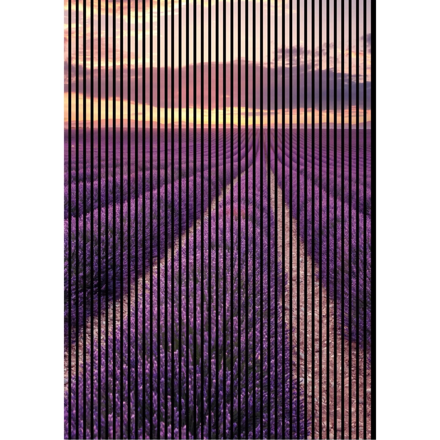 FN Acustico Akustikplatte Lavendel 1 PET u. MDF Foliert 1.693 x 19 x 2.400 mm