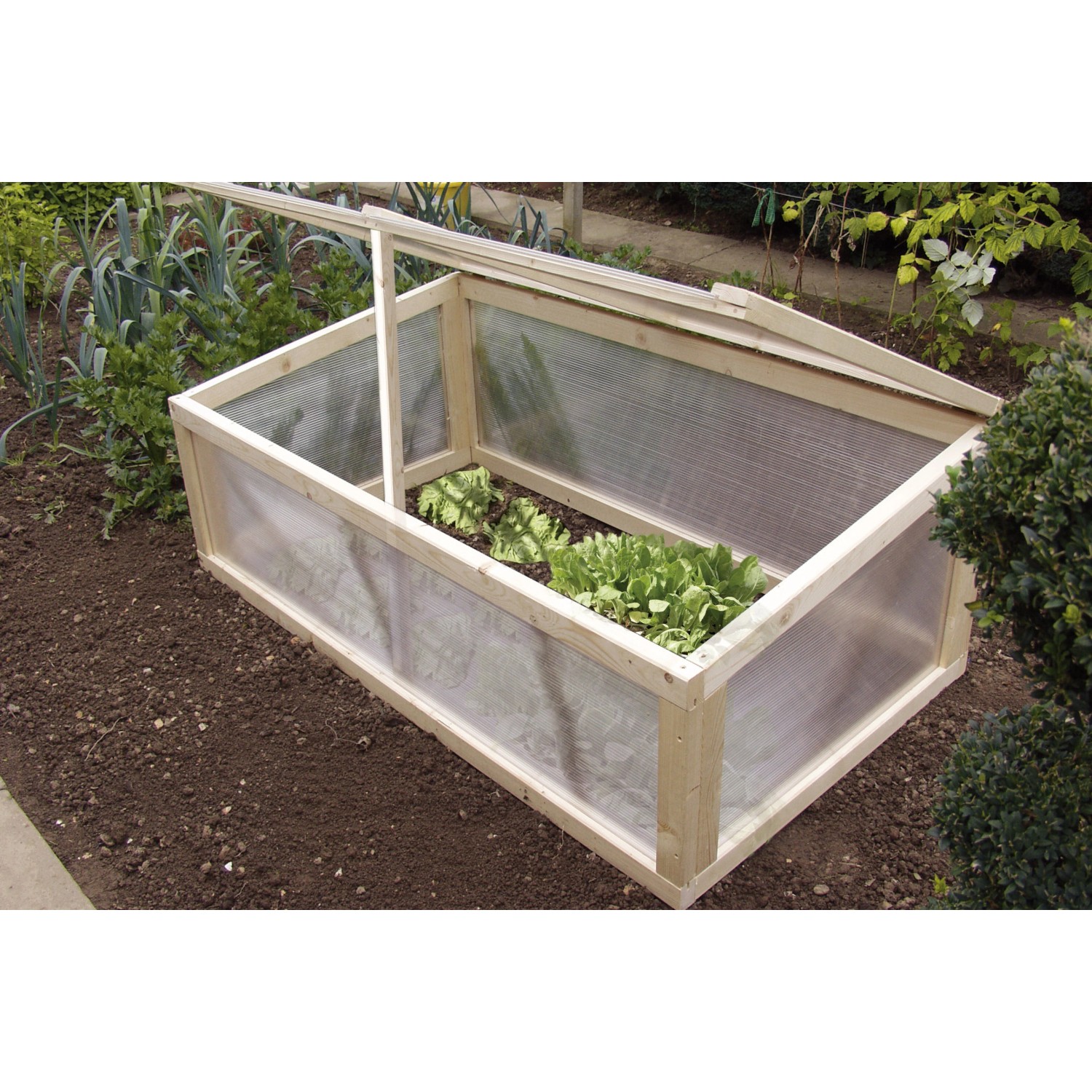 Transparente Hohlkammerplatte 4,5 mm als Frühbeet für Pflanzen im Garten.