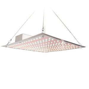 Romberg LED-Pflanzenlampe Grower, 30x30 cm, für Pflanzenanzucht, mit Aufhängung.