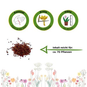 Samen der Monatserdbeere Rügen: Aussaat, Ernte, Höhe und Inhalt für ca. 70 Pflanzen.