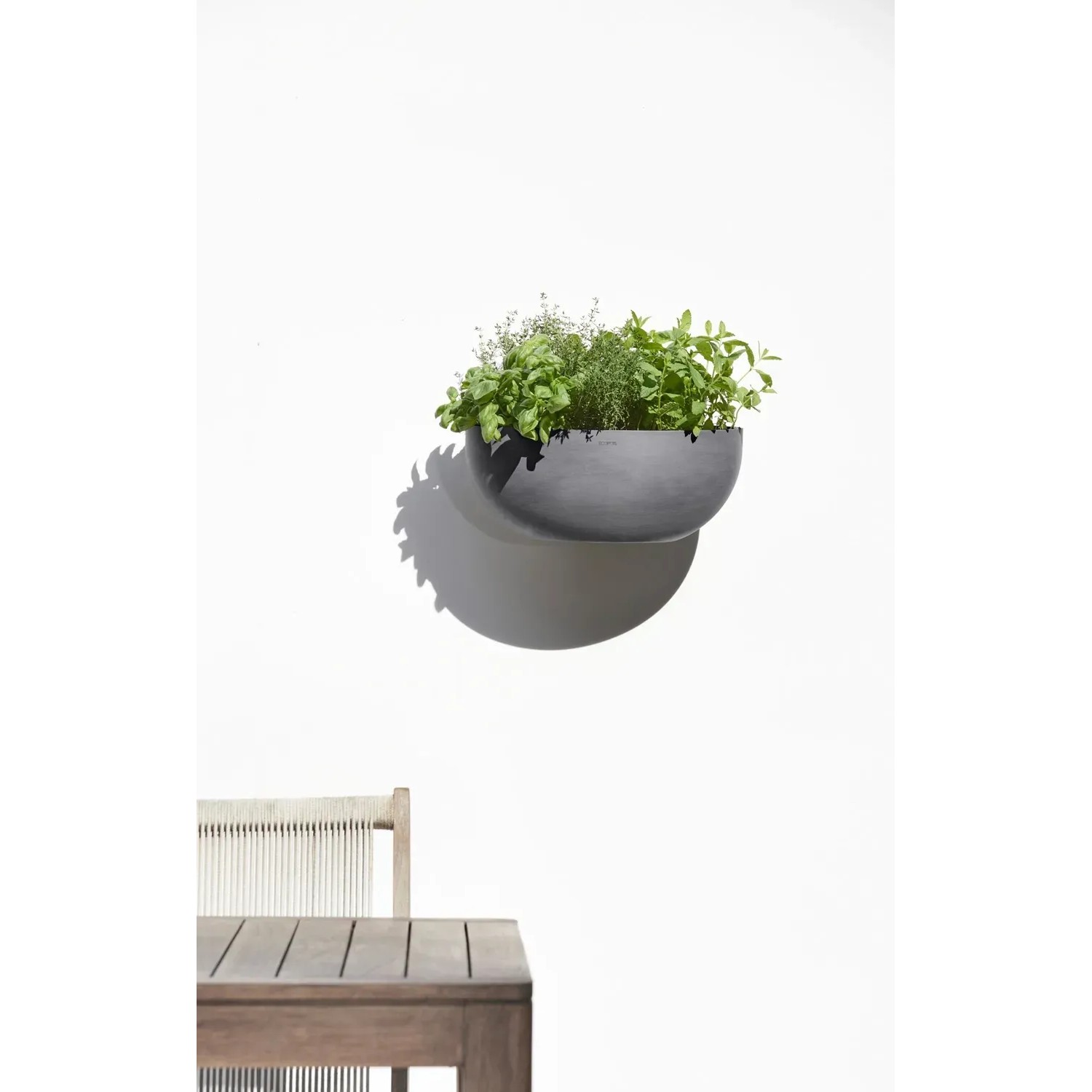 pflanztpfe pappe Pflanztopf Karton XL Cyperus
