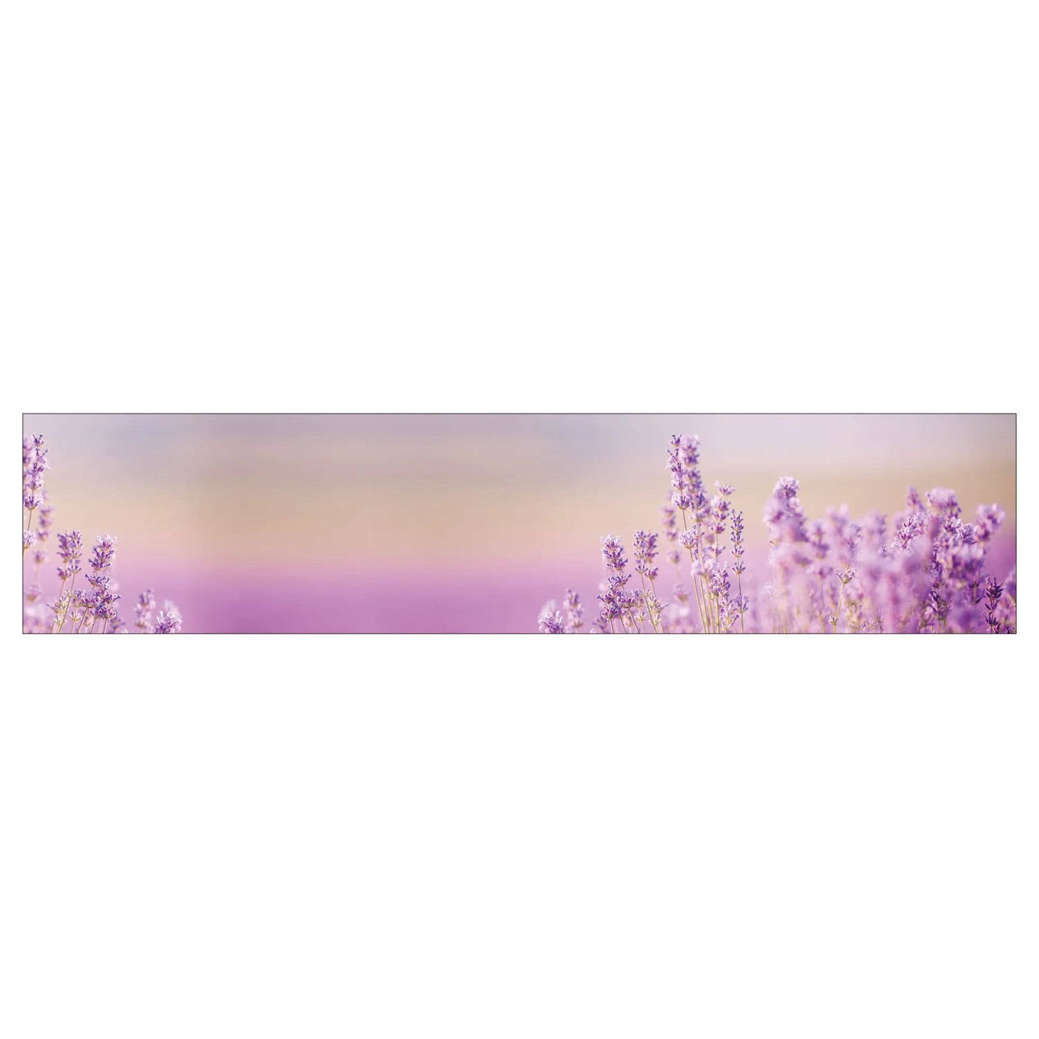 MySpotti Küchenrückwand Profix Cucina Lavendelfeld 270 x 60 cm Lila