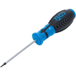BGS Schraubendreher T6 für Torx Schrauben, 80 mm Klingenlänge, mit blau-schwarzem Griff.