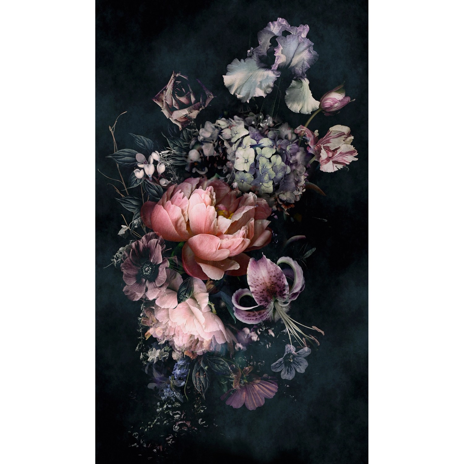 Schöner Wohnen Vliestapete 2 DD Floral Schwarz Rosa 270 x 159 cm FSC® günstig online kaufen