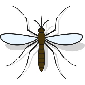 Illustration einer Stechmücke, passend zur Nexa Lotte Moskito-Kerze.