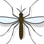 Illustration einer Stechmücke, passend zur Nexa Lotte Moskito-Kerze.