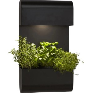 Schwarze PR Home Planta Wandleuchte mit Pflanzkasten, geeignet für Innen und Außen.