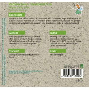 Grüne Fee Radieschen Albena Zlata Viola Saatband 5m: Saatgut für farbenfrohe Radieschen.