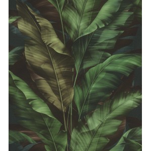Rasch SK-Tapete Tesa 370034 mit tropischen, grünen Bananenblättern auf dunklem Grund.