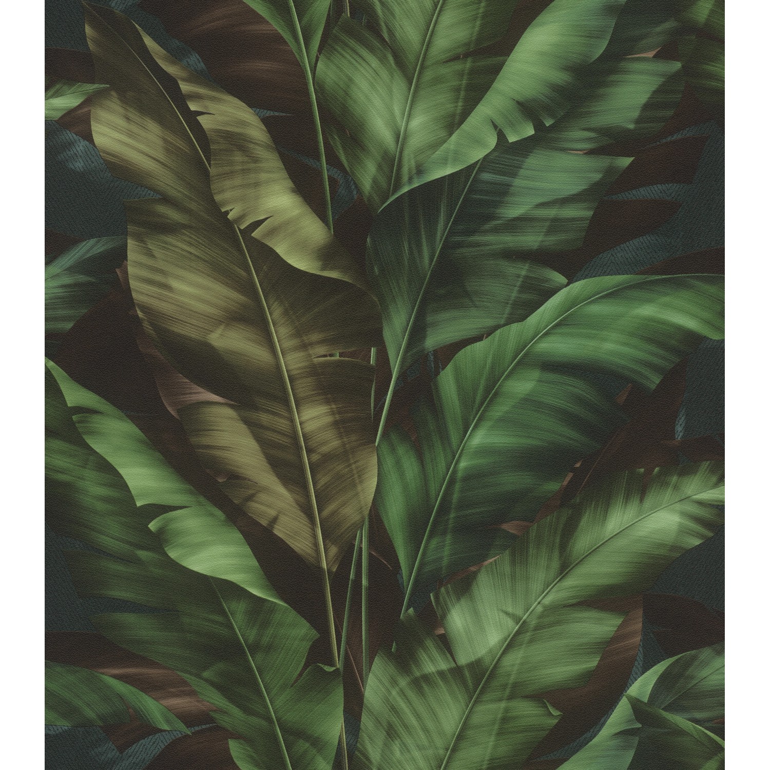 Rasch SK-Tapete Tesa 370034 Rio Blatt Grün 6 m x 0,53 m günstig online kaufen