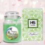 HS Candle Duftkerze Happy Birthday im Glas mit Bonbon Coconut Limes Duft.