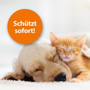 Schlafende Katze und Hund, geschützt durch Ardap Zeckenspray.
