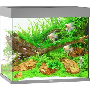 Graues Juwel Aquarium Lido LED 200 l Komplettset mit Fischen und Pflanzen.
