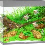 Graues Juwel Aquarium Lido LED 200 l Komplettset mit Fischen und Pflanzen.