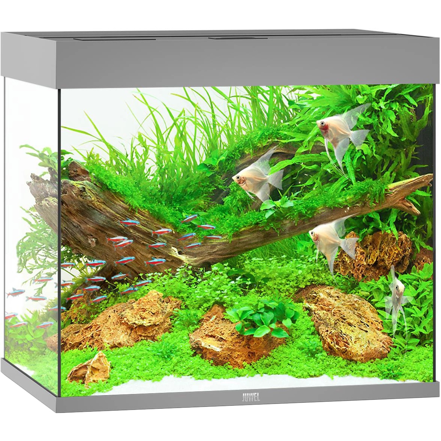 Juwel Aquarium Lido LED 200 l Grau