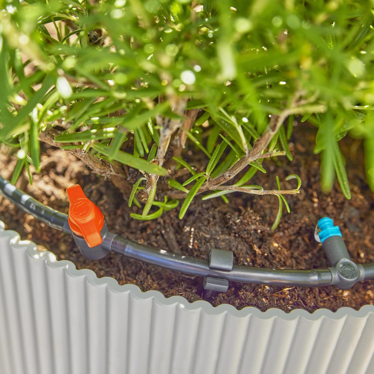 Garten Druckminderer 30 PSI - Tropfbewässerung Regler 3/4 Zoll Für Bewässerungssystem