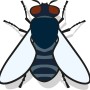 Illustration einer Stubenfliege, geeignet für Nexa Lotte Fliegenfänger.