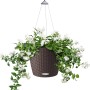 Lechuza Hängeampel Nido Cottage, Ø 27cm, Mokka, mit weißen Blüten und grünen Blättern.