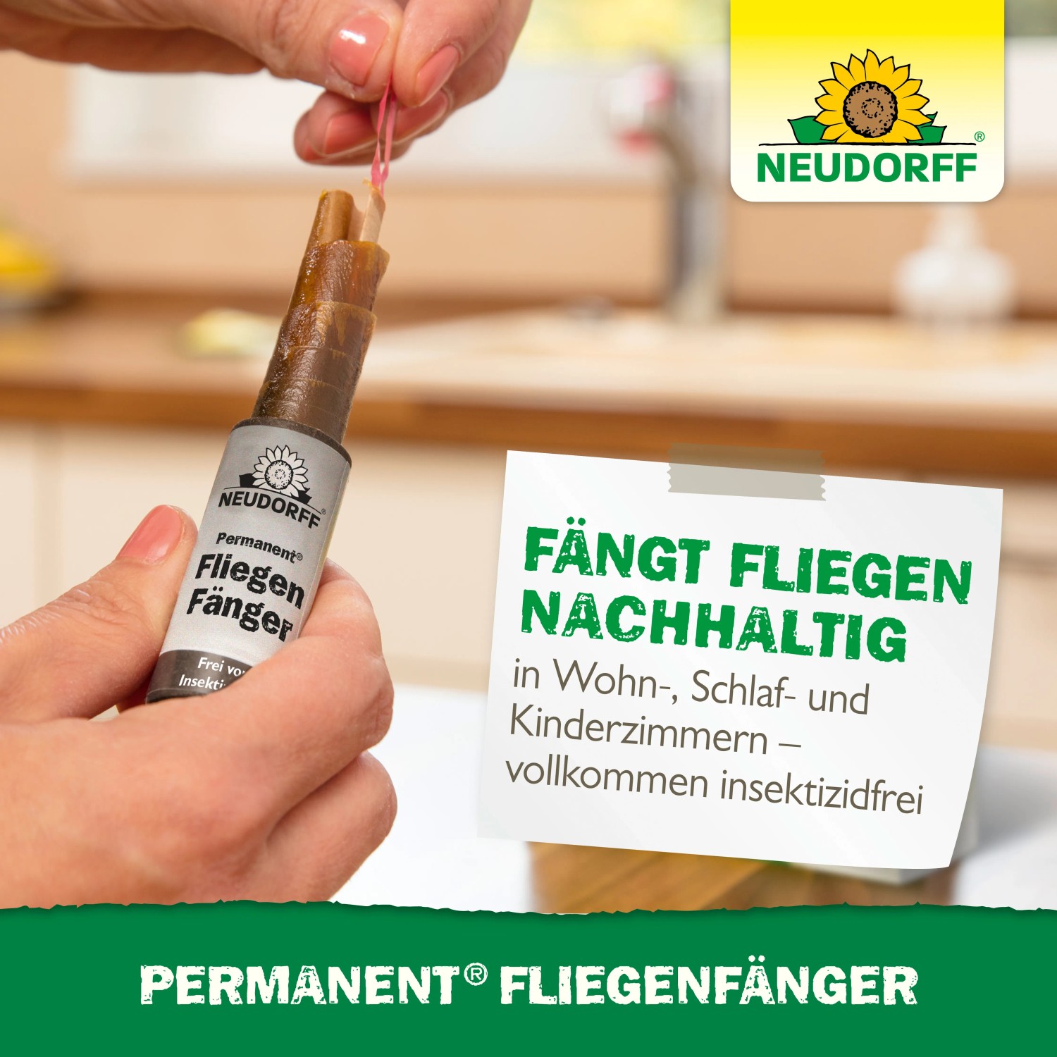 Neudorff Permanent Fliegenfänger: Aufgerollter Leimstreifen in Anwendung, insektizidfrei.