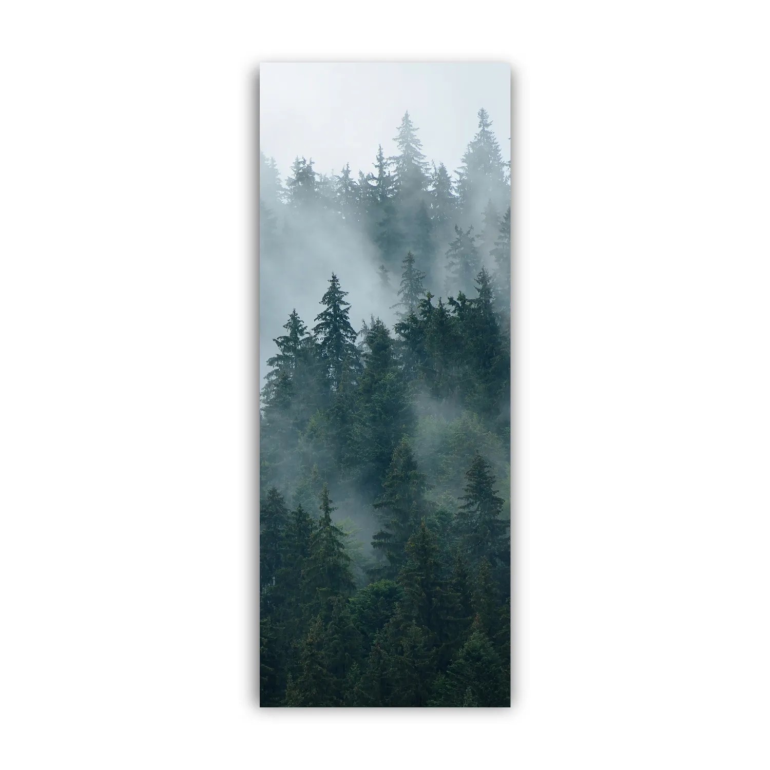 Walllux Duschrückwand Tannenwald Alu-Verbund 3 mm 100 x 255 cm