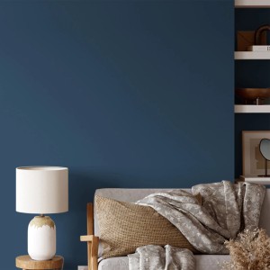 Wand in Schieferblau mit V&CO Premium-Innenfarbe Dead Flat Matt gestrichen.