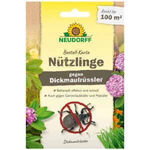 Neudorff Bestellkarte Nützlinge gegen Dickmaulrüssler für 100 m² Fläche. Karte mit Abbildung eines Dickmaulrüsslers.