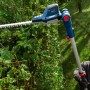 Bosch Akku-Teleskopheckenschere GHE 18V-50 TP Solo im Einsatz beim Heckenschnitt.