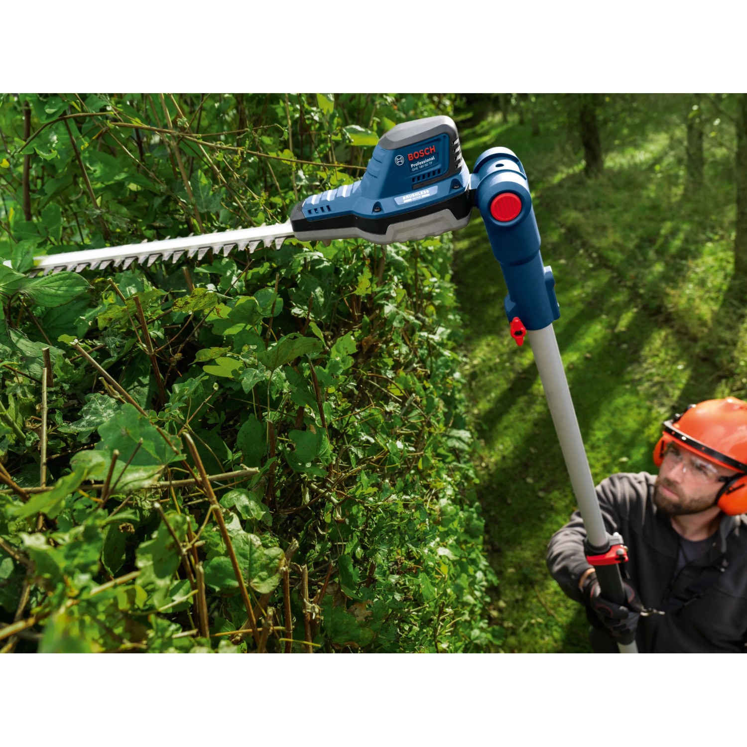 Bosch Akku-Teleskopheckenschere GHE 18V-50 TP Solo im Einsatz beim Heckenschnitt.